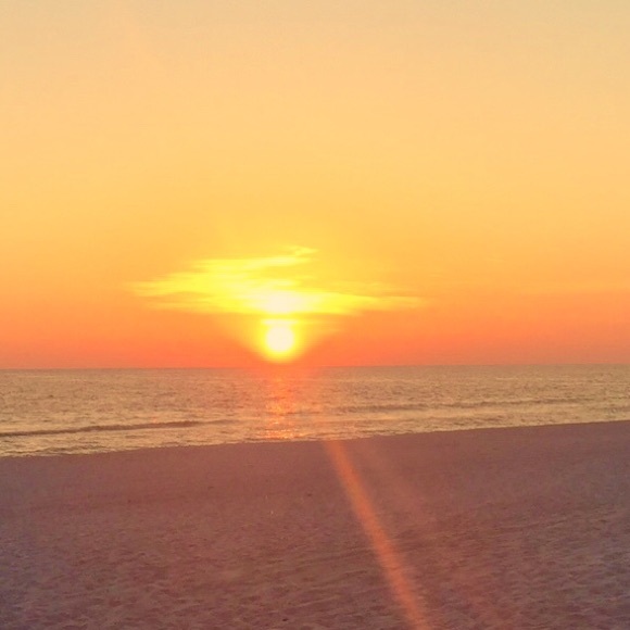 Meet your Posher, Robin - Picture 2 of 2